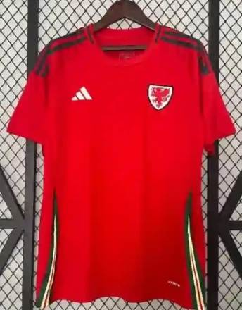 Wholesale Supplier Branded national wales soccer jerseys football, join us on whatsapp | Yupoo  